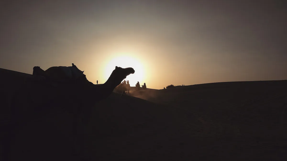 Camel safari in the Thar Desert near Jaisalmer